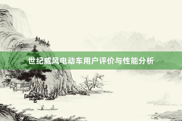 世纪威风电动车用户评价与性能分析
