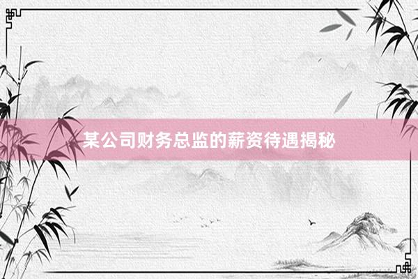 某公司财务总监的薪资待遇揭秘