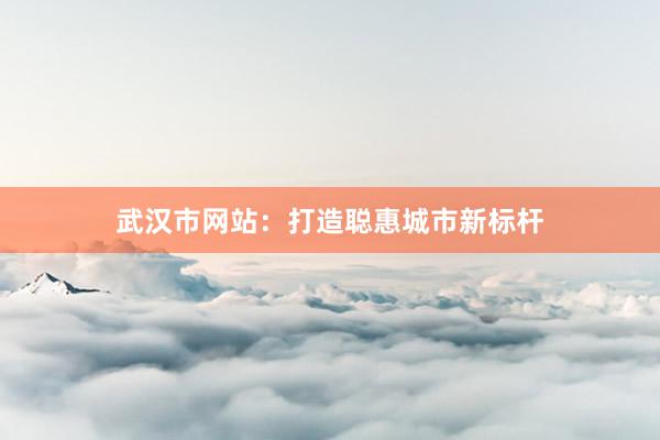 武汉市网站：打造聪惠城市新标杆