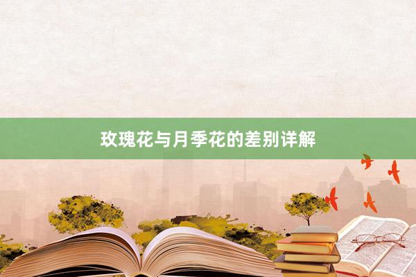 玫瑰花与月季花的差别详解