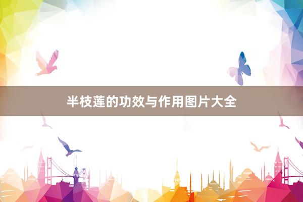 半枝莲的功效与作用图片大全